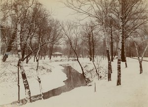 Winter Scene in Forest Park with Stream Cutting Through Snow